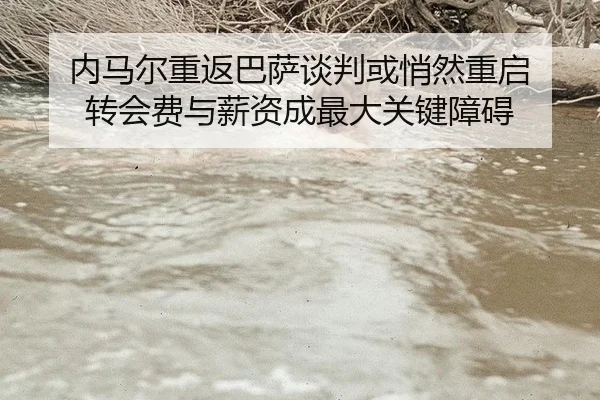 nei-ma-er-chong-fan-ba-sa-tan-pan-huo-qiao-ran-chong-qi-zhuan-hui-fei-yu-xin-zi-cheng-zui-da-guan-jian-zhang-ai-2-502.jpg